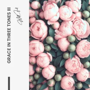 11.-Design-signature-Grace-in-Three-Tones-III