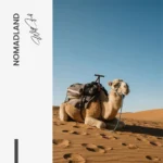 Nomadland – Glas – Bild 4
