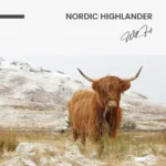 "Nordic Highlander" – Bild 7