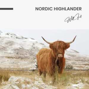 11.-Design-signature-Nordic-Highlander