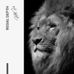 Regal Depth – Glas – Bild 4