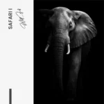 Safari I – Glas – Bild 4