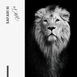 "Safari III" – Bild 7