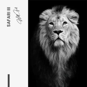 11.-Design-signature-Safari-III