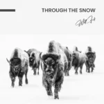 Through the Snow – Glas – Bild 4