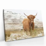 "Nordic Highlander" – Bild 2