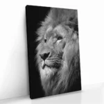 "Regal Depth" – Bild 2