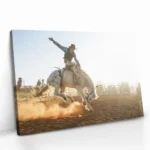 "Rodeo Cowboy" – Bild 2