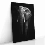 "Safari I" – Bild 2