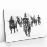 "Through the Snow" – Bild 2