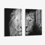 Bündel: "Wild Mirror" (2x) – Glas