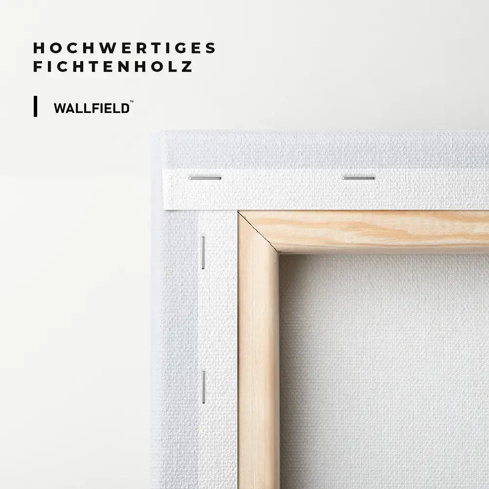 5.-Cvas-Detail-3-Nordic-Highlander