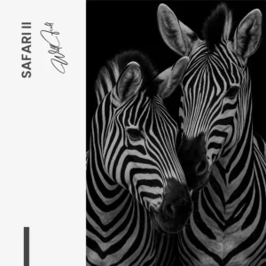 8.-Design-signature-2-Bundle-Safari