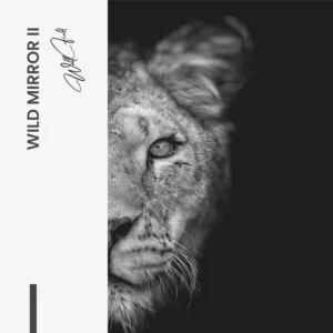 8.-Design-signature-2-Bundle-Wild-Mirror