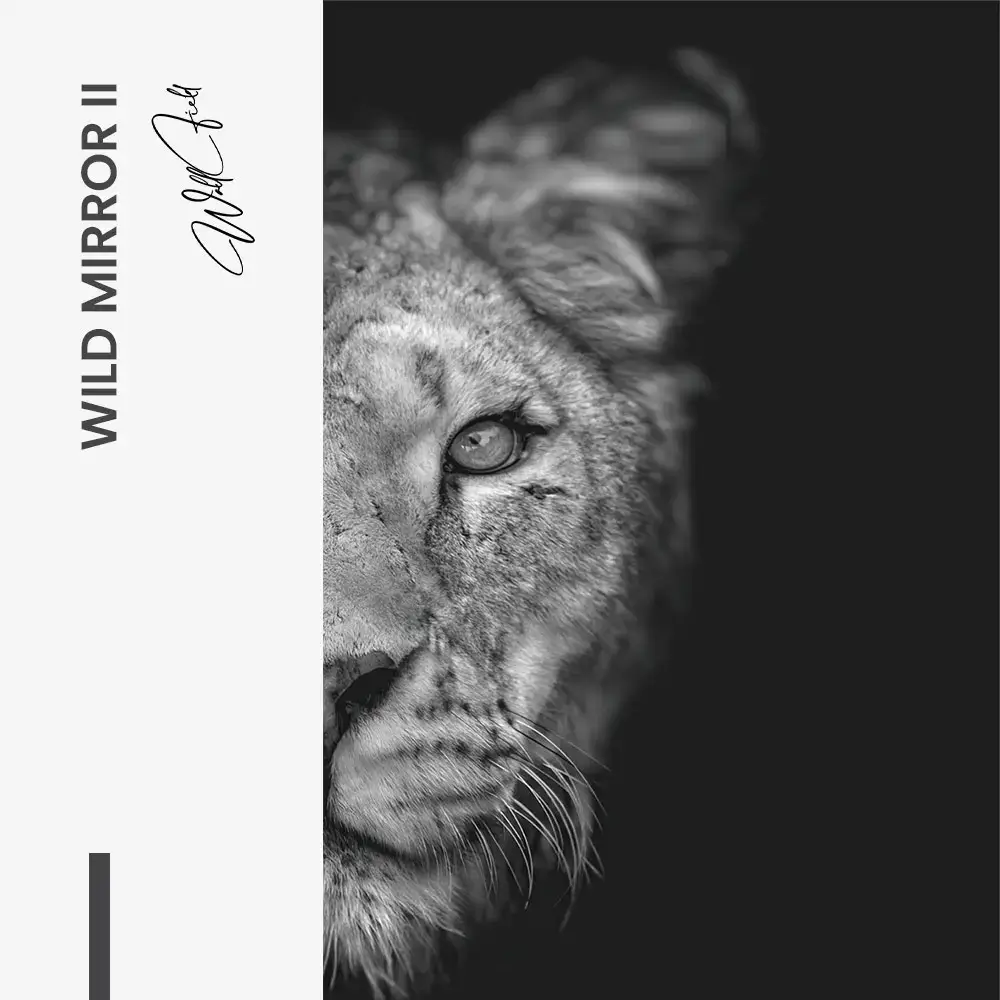 8.-Design-signature-2-Bundle-Wild-Mirror