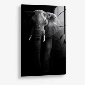 8.-Glass-Detail-1-Safari-I