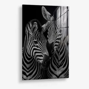 8.-Glass-Detail-1-Safari-II