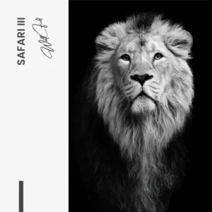 9.-Design-signature-3-Bundle-Safari