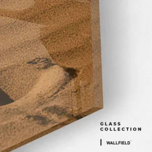 9.-Glass-Detail-2-Nomadland