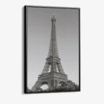 "Parisian Sentinel"