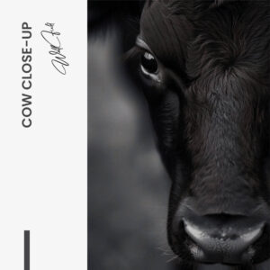 10.-Design-signature-1.jpg