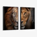 Bündel: "Lion & Lioness Color II" (2x) – Glas – Bild 2