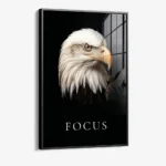 Focus – Glas – Bild 2