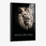 Discipline – Glas – Bild 2
