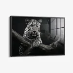 Jaguar HZ – Glas – Bild 2