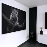 "Jaguar HZ" – Bild 3