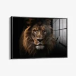 Lion HZ – Glas – Bild 2