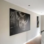 "The Rhino" – Bild 3