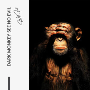 11.-Design-signature-Dark-Monkey-See-no-Evil.jpg