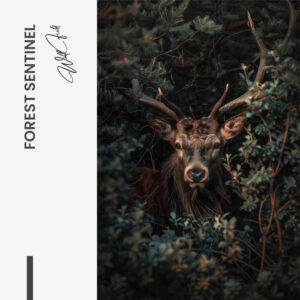 11.-Design-signature-Forest-Sentinel.jpg