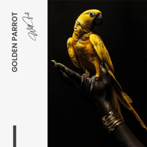 11.-Design-signature-Golden-Parrot.jpg