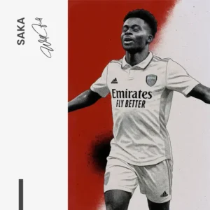 11.-Design-signature-Saka