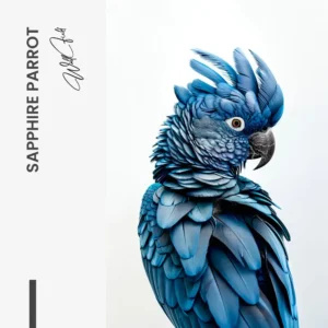 11.-Design-signature-Sapphire-Parrot