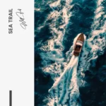 Sea Trail – Glas – Bild 5