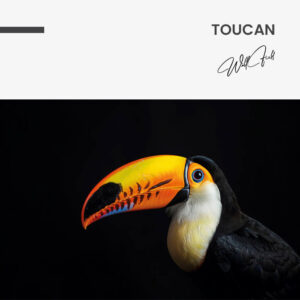 11.-Design-signature-Toucan.jpg