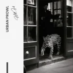 "Urban Prowl" – Bild 7