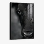 Cow Close-up – Glas – Bild 2