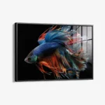 Betta Fish – Glas – Bild 2