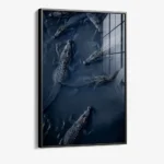 Crocodiles – Glas – Bild 2