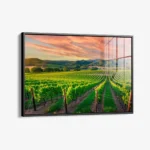 Vineyard – Glas – Bild 2