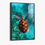 Sea Turtle VT – Glas – Bild 2