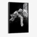 Lion Love – Glas – Bild 2