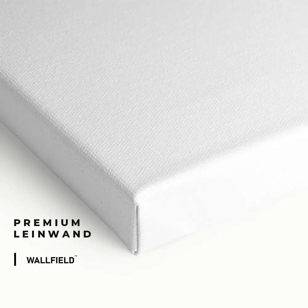 2.-Cvas-Detail-2-Bundle-Legends-3x