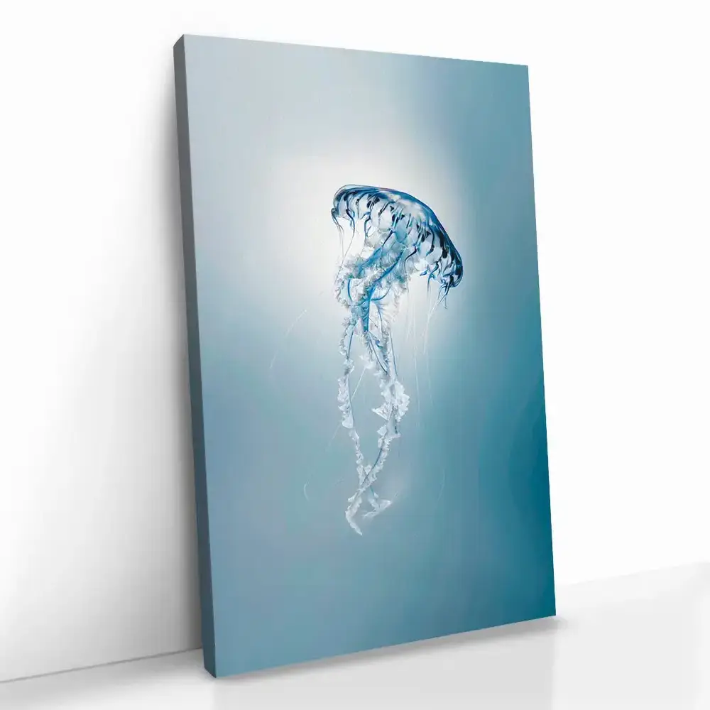 2.-Cvas-Detail-5-Ocean-Lantern