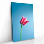 "Singular Tulip" – Bild 2