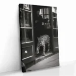"Urban Prowl" – Bild 2